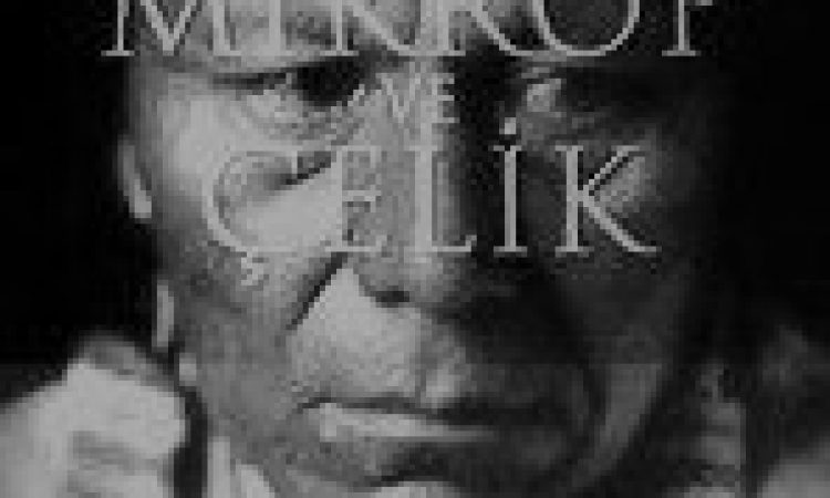 TÜFEK MİKROP VE ÇELİK / JARED DIAMOND