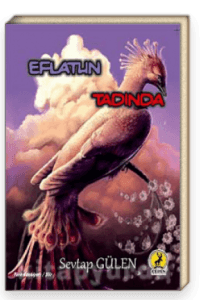 Sevtap Gülen – Eflatun Tadında – Kitap Roman Özeti Yorumlar kitabının kapağı