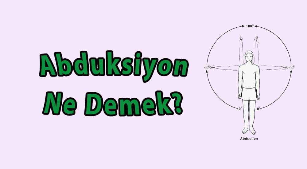 Abreaksiyon Nedir, Abreaksiyon Anlamı kitabının kapağı