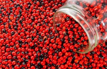 Abrus Bitkisi Nedir, Nerelerde Kullanılır kitabının kapağı