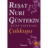 Çalıkuşu - Reşat Nuri Güntekin kitabının kapağı