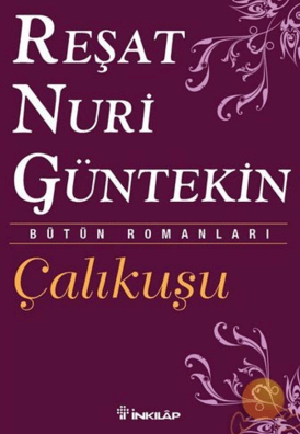 Çalıkuşu Romanı Kısa Özeti | Kahramanları | Konu kitabının kapağı