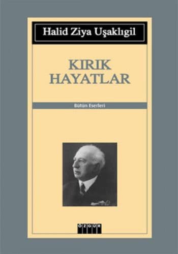 Kırık Hayatlar kitabının kapağı