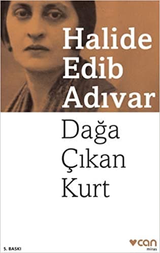 DAĞA ÇIKAN KURT kitabının kapağı