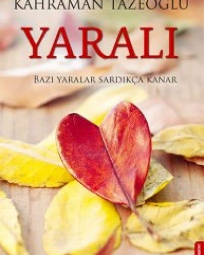 Demir Bey (İnkişafı Esrar) Kitabı özeti kitabının kapağı