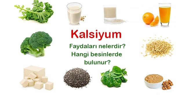 Kalsiyum Canlılar İçin Önemi kitabının kapağı