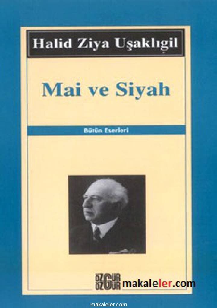 Mai ve Siyah Kitabı (Romanı) Özeti kitabının kapağı