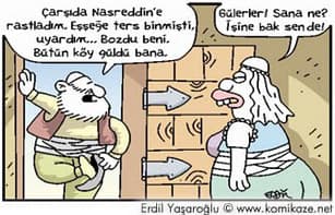 Saltuknamede Nasreddin Hoca kitabının kapağı