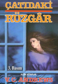 ÇATIDAKİ RÜZGAR ROMAN ÖZETİ - KİTAP ÖZETİ kitabının kapağı