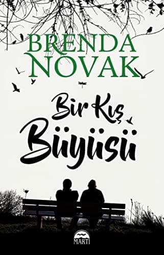 Bir Kış Büyüsü kitabının kapağı