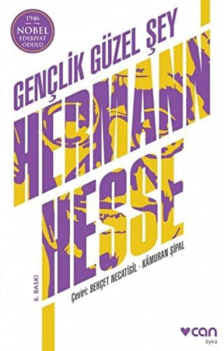 Gençlik Güzel Şey kitabının kapağı