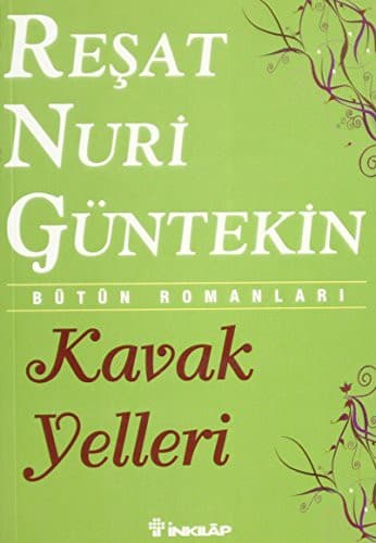 Kavak Yelleri kitabının kapağı
