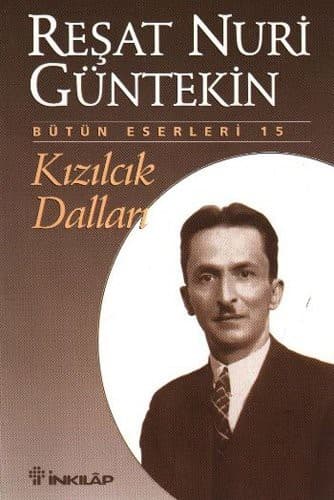 Kızılcık Dalları kitabının kapağı