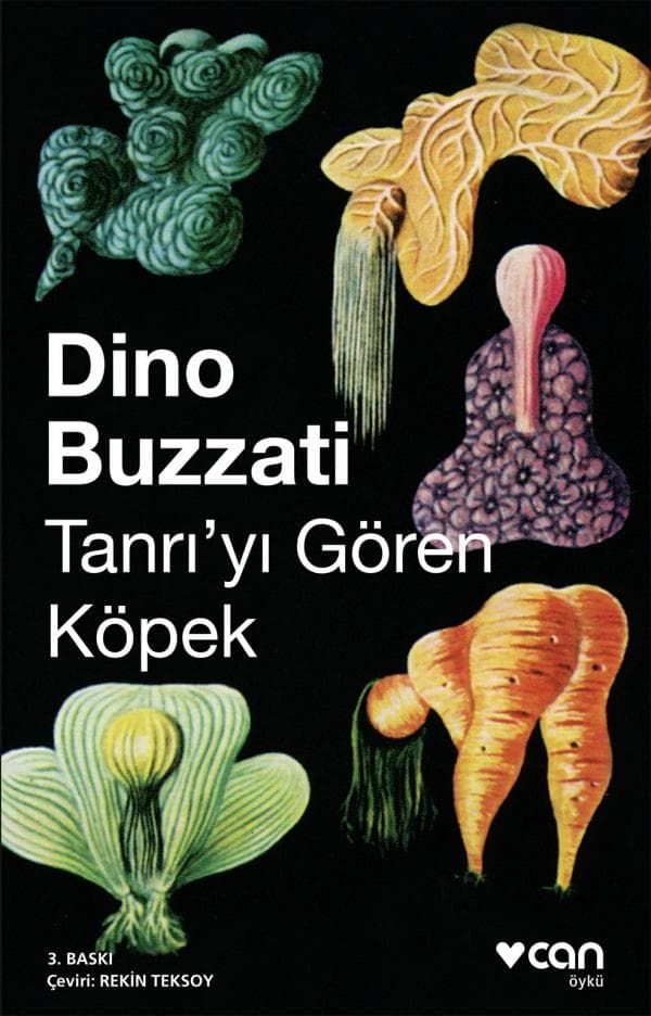 Tanrıyı Gören Köpek kitabının kapağı