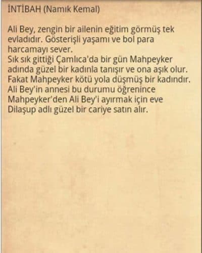 Türk Edebiyatı Kısa Roman Özetleri kitabının kapağı